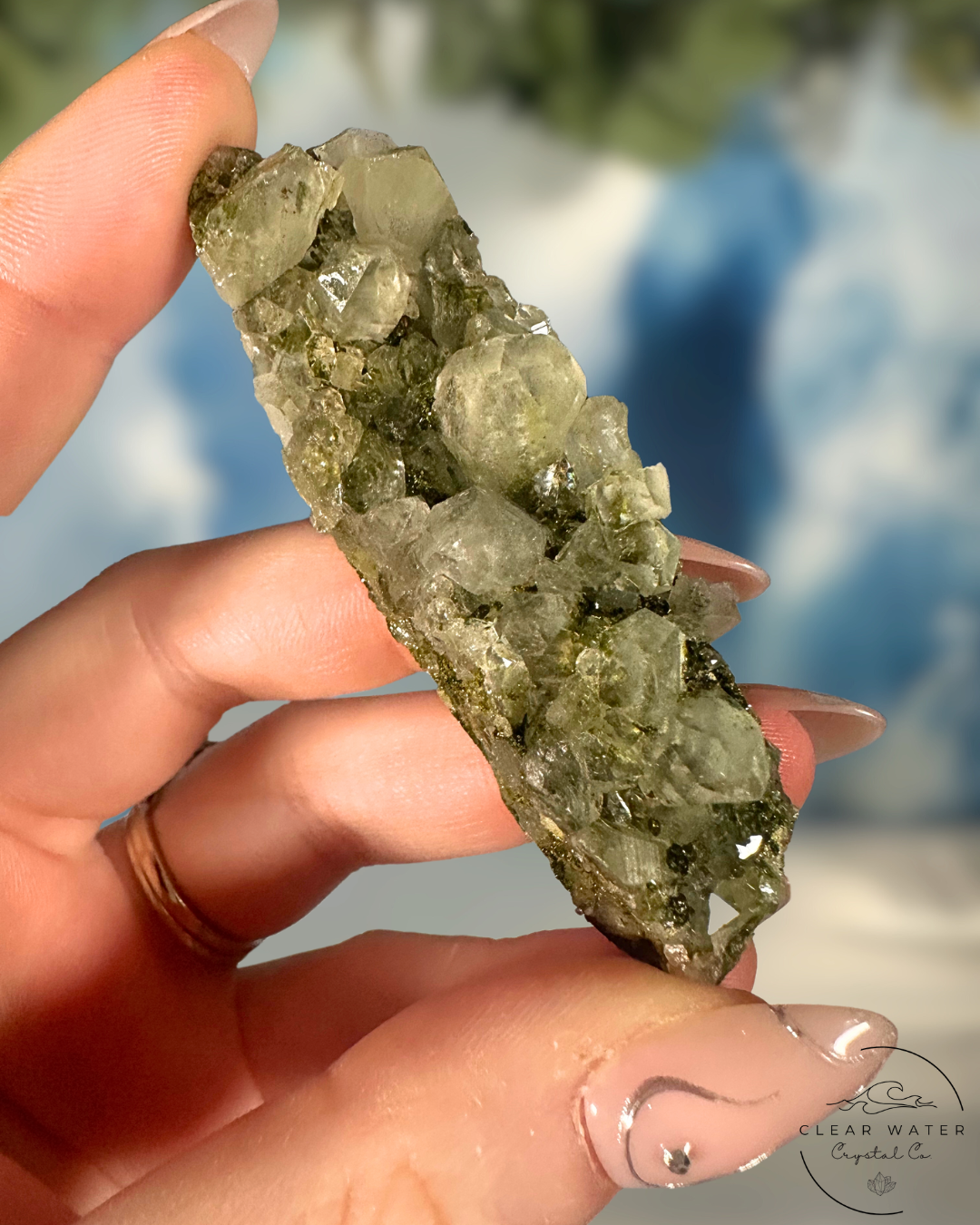 Forrest Quartz: Hakkari's Secret Garden
