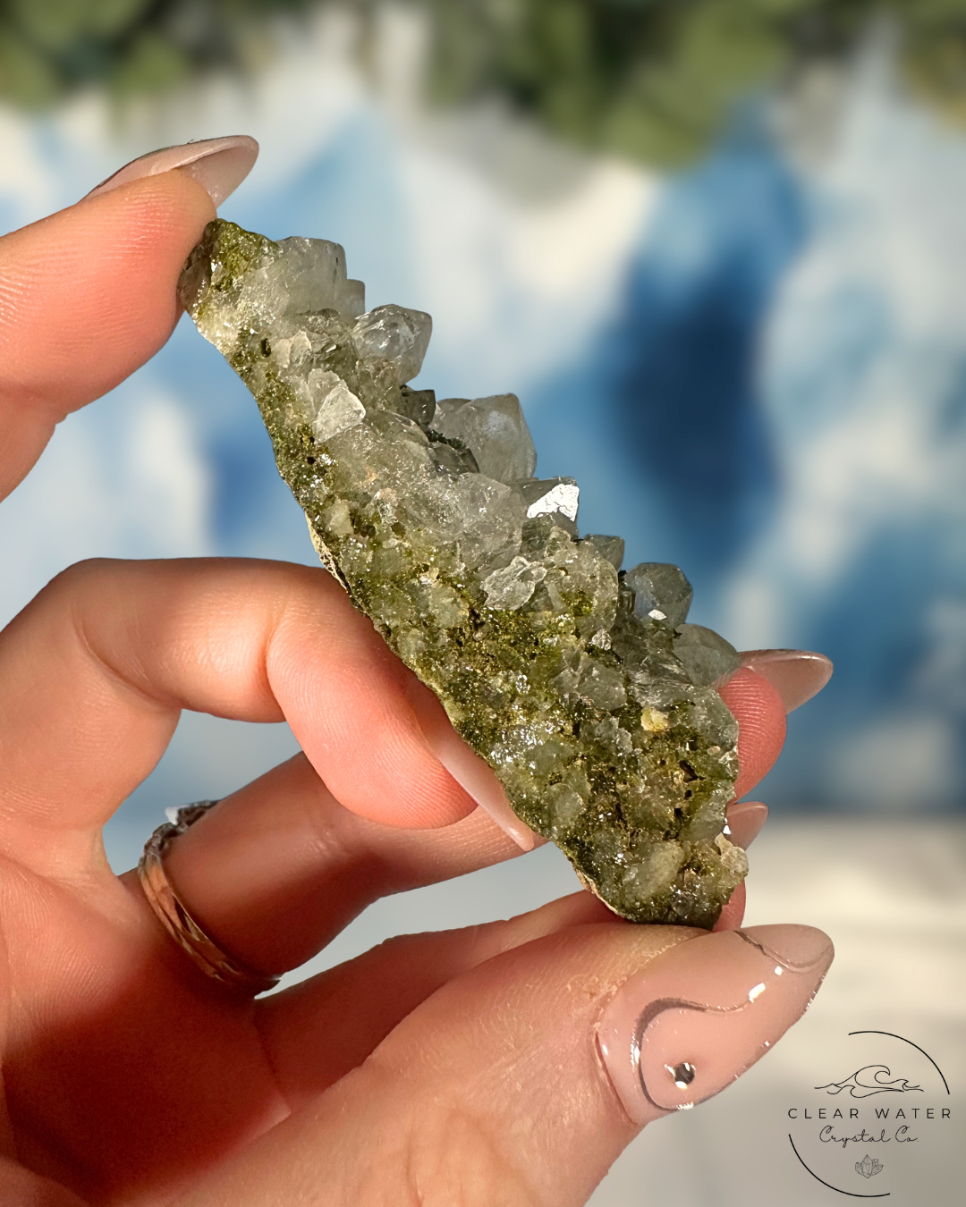 Forrest Quartz: Hakkari's Secret Garden