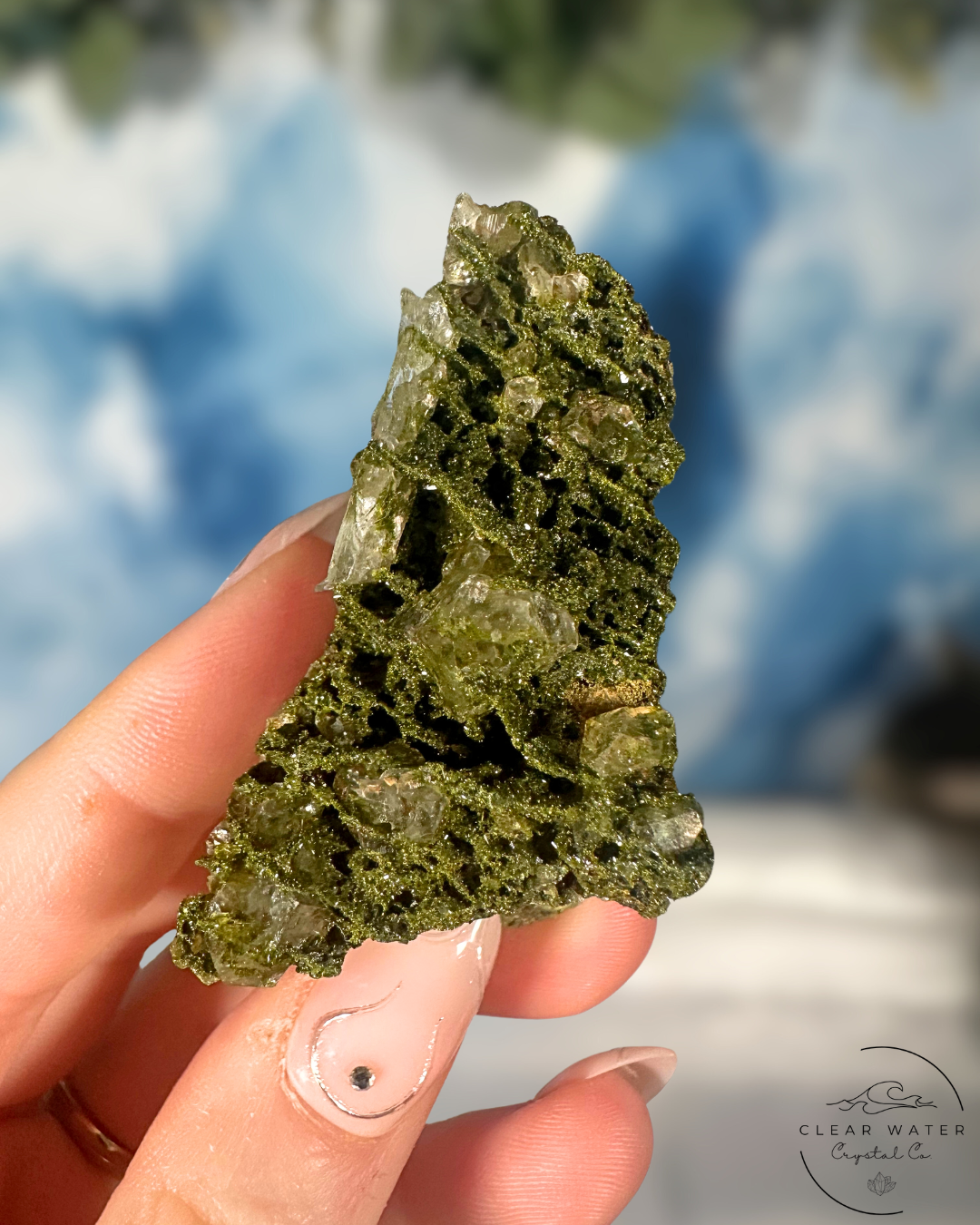 Forrest Quartz: Hakkari's Secret Garden