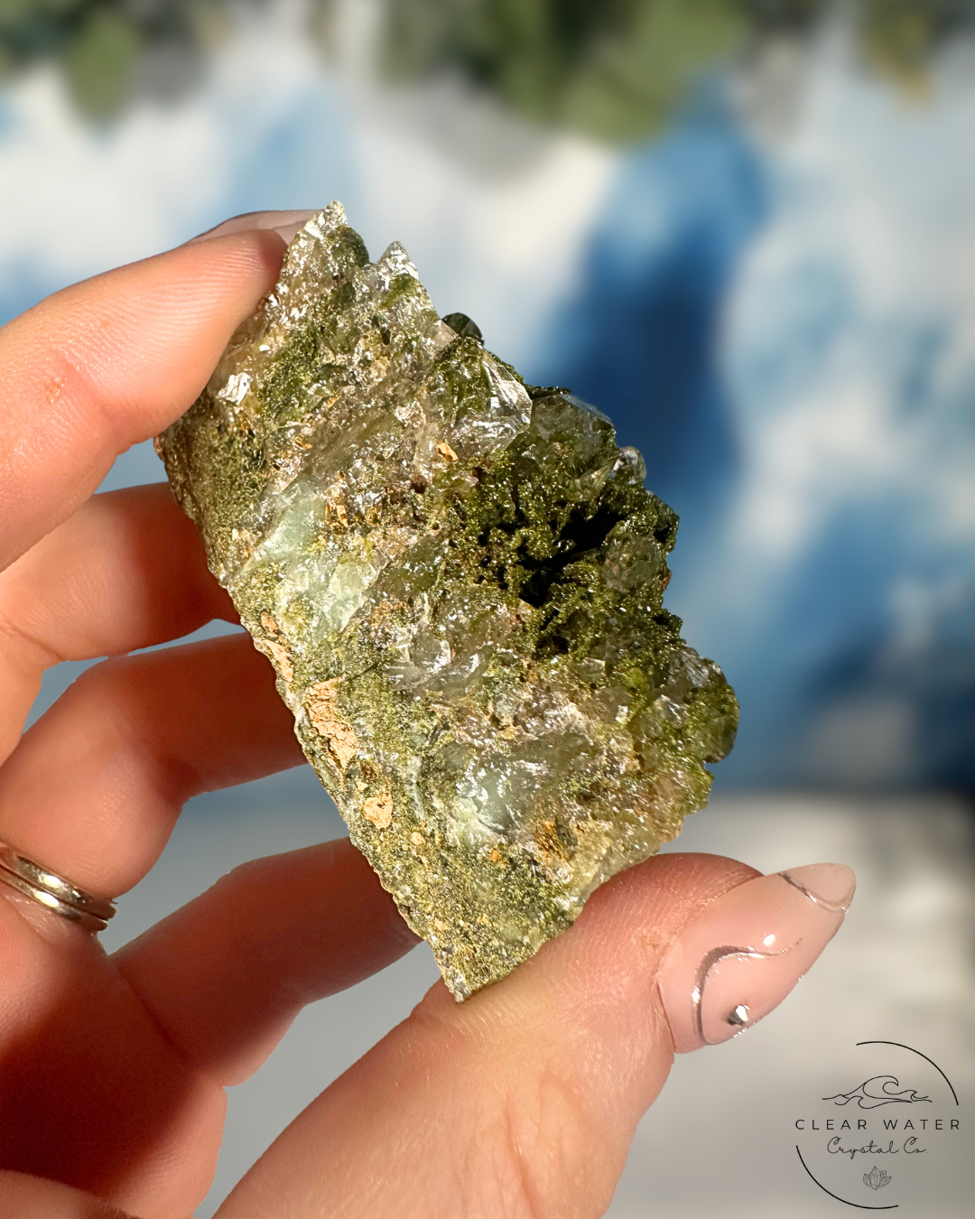Forrest Quartz: Hakkari's Secret Garden