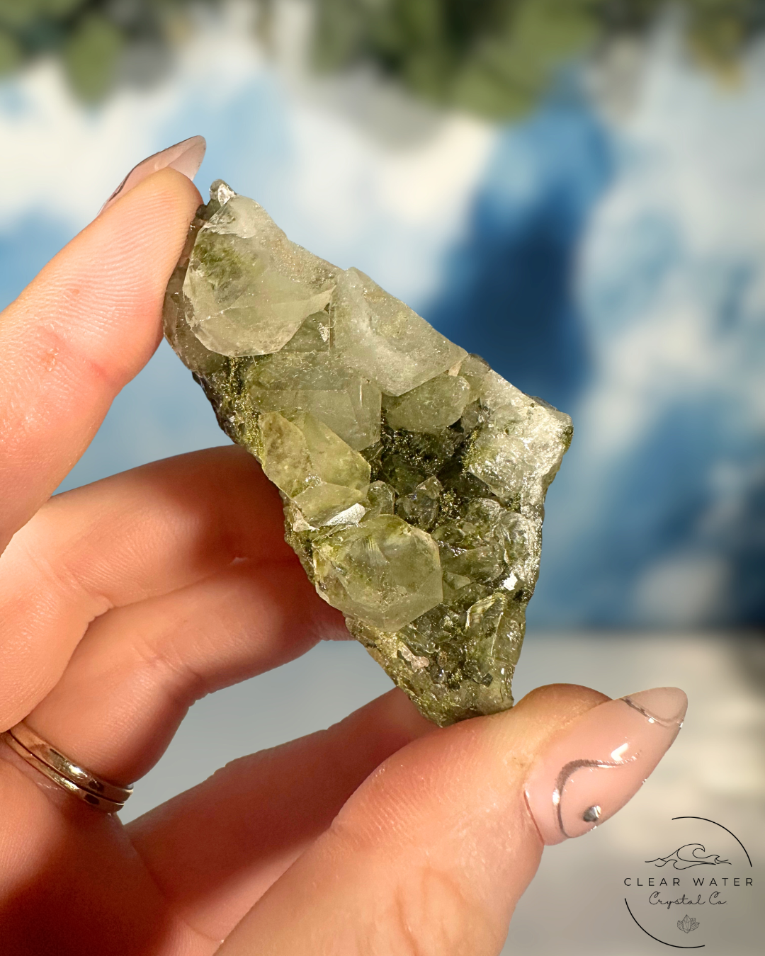 Forrest Quartz: Hakkari's Secret Garden