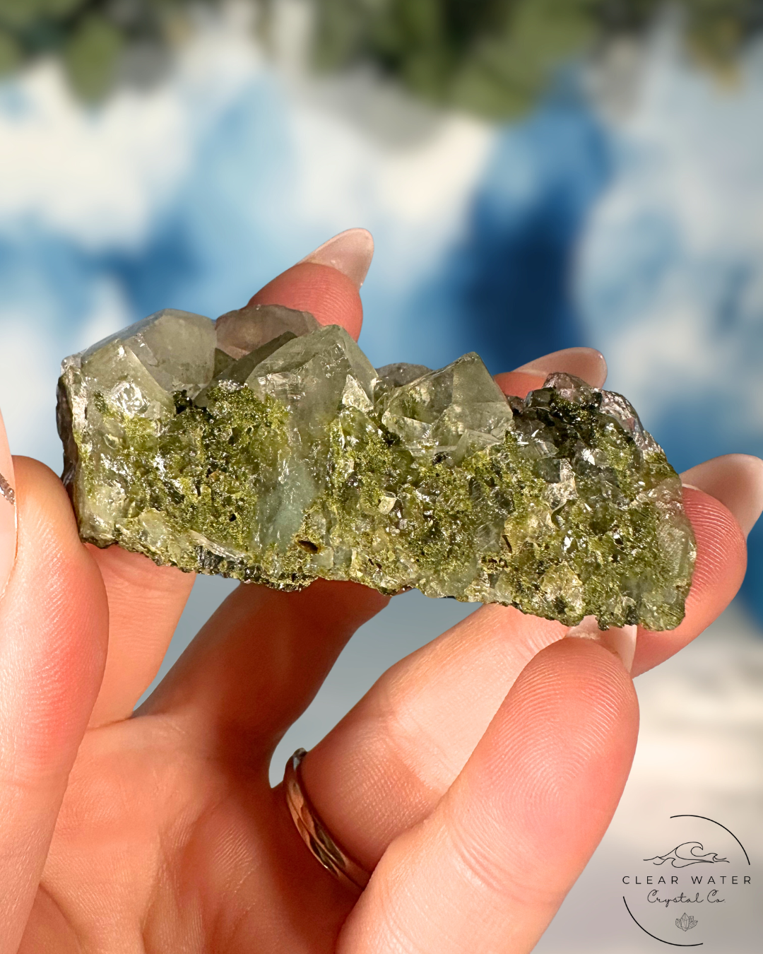Forrest Quartz: Hakkari's Secret Garden