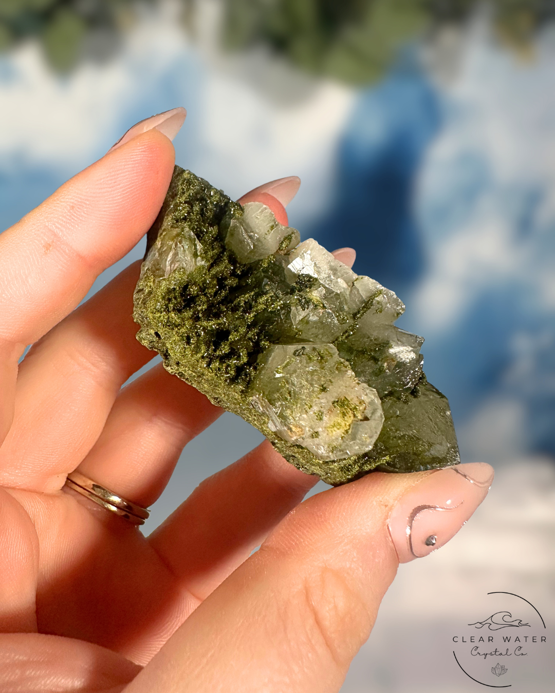 Forrest Quartz: Hakkari's Secret Garden