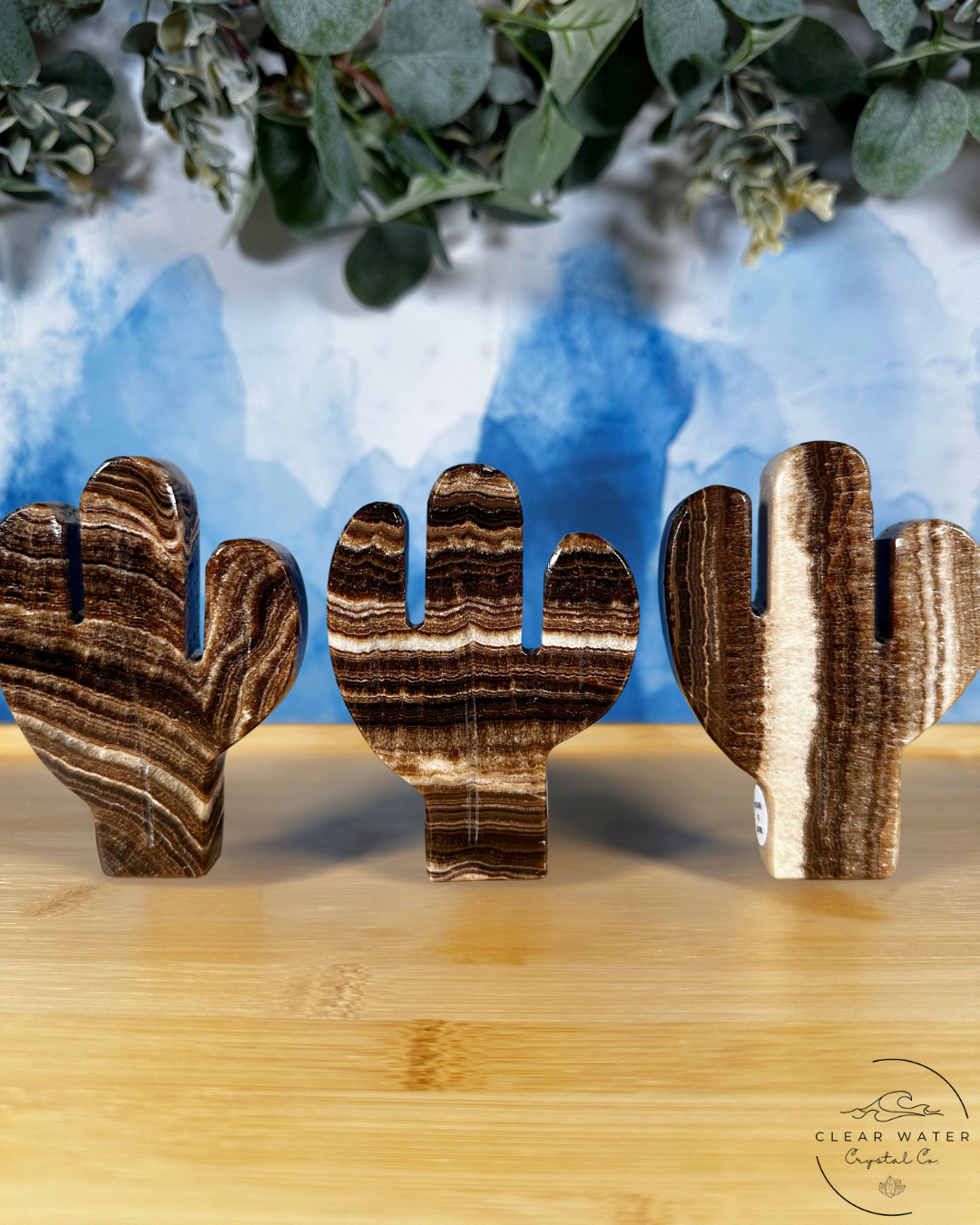 Mexican Chocolate Onyx Cactus Carving