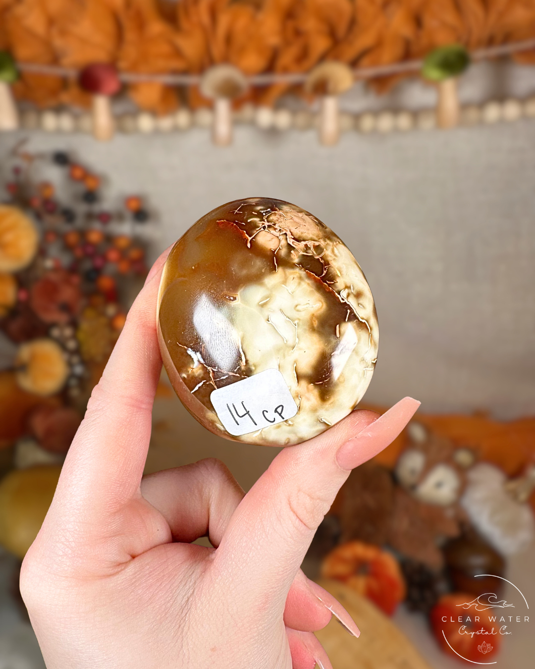 Orca Agate & Carnelian Palmstones – Madagascar