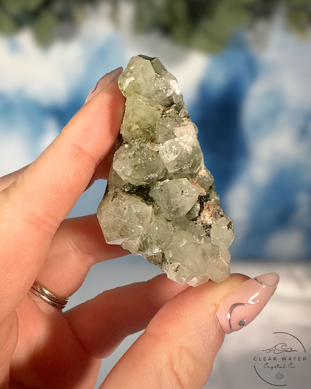 Forrest Quartz: Hakkari's Secret Garden