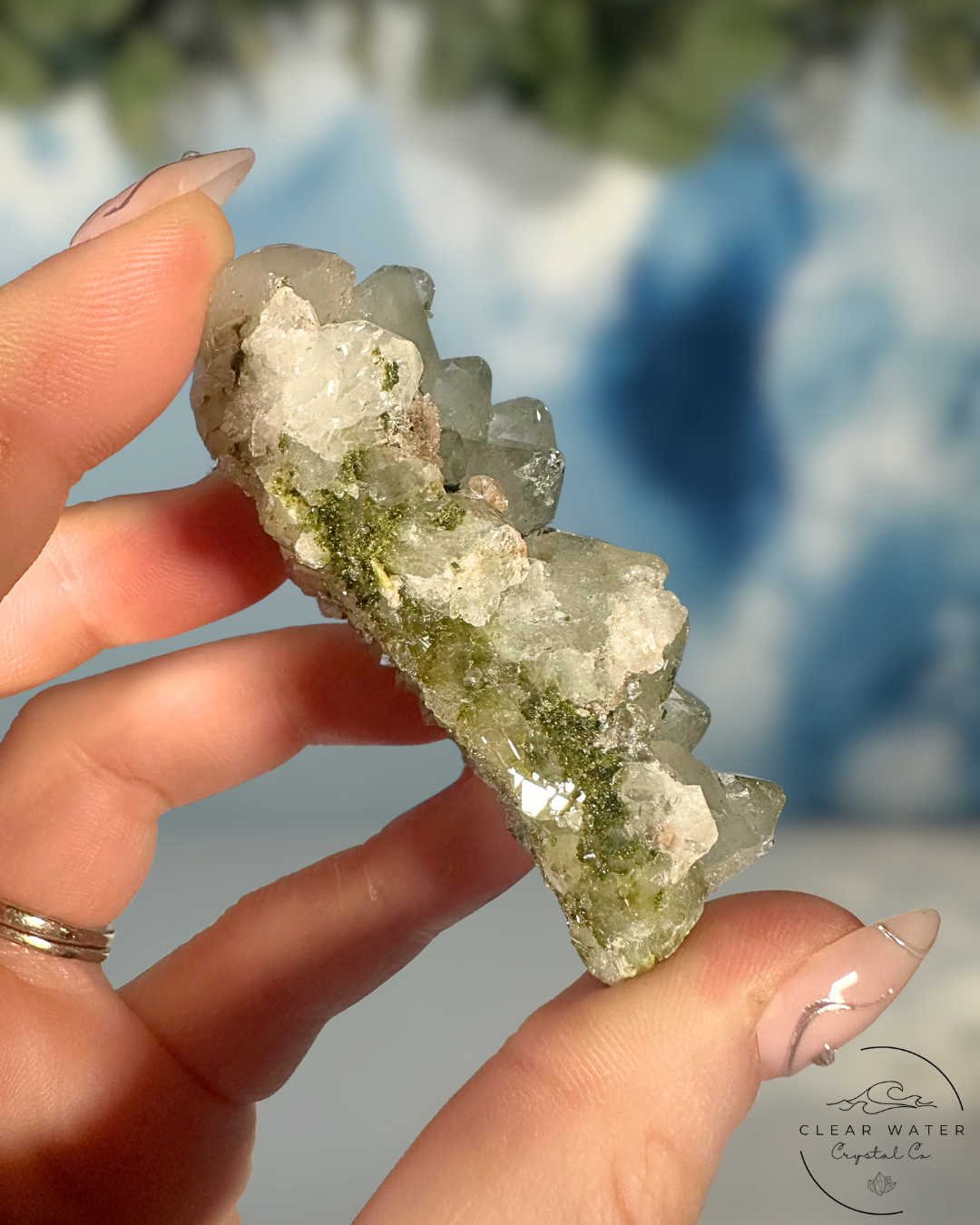 Forrest Quartz: Hakkari's Secret Garden