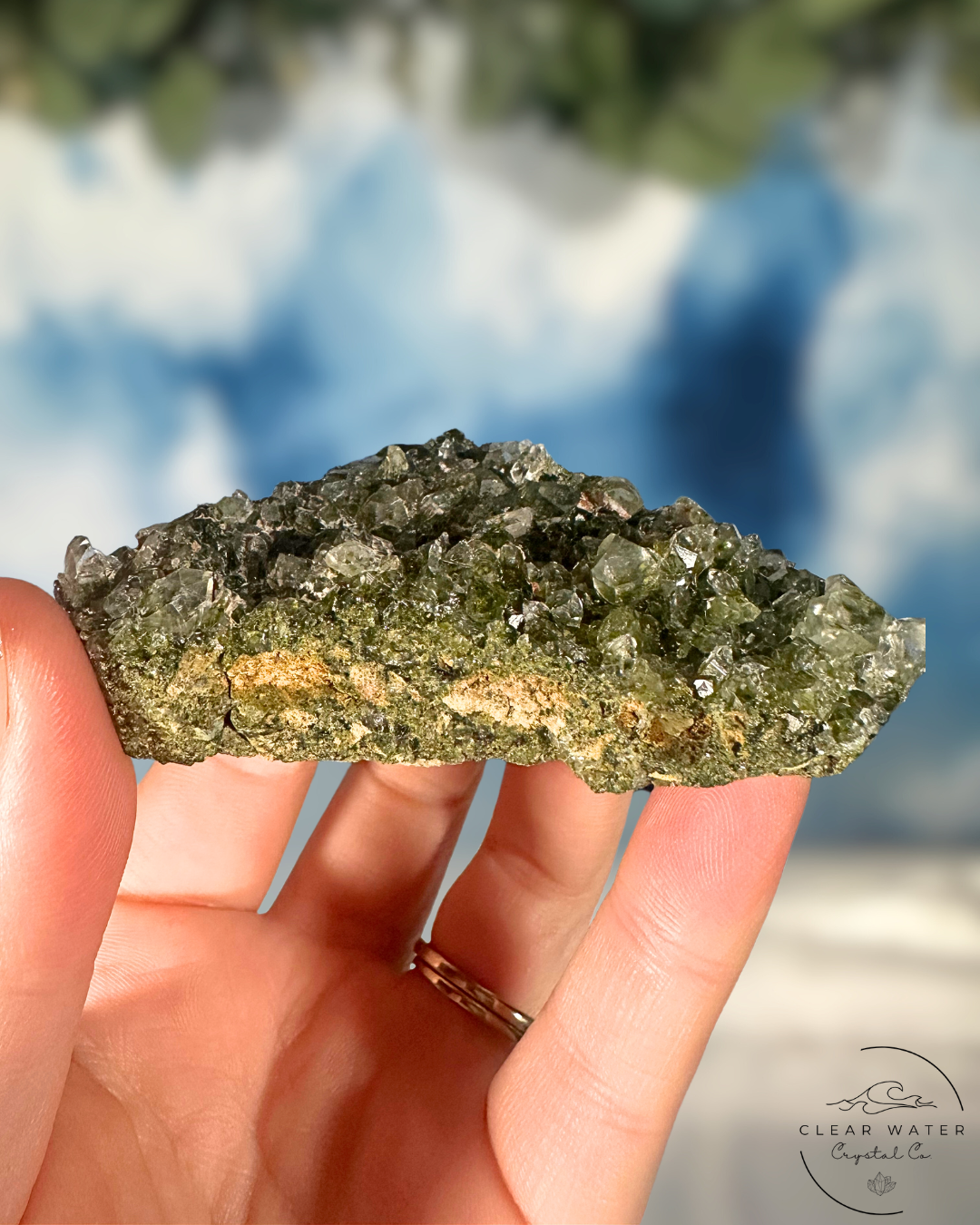 Forrest Quartz: Hakkari's Secret Garden