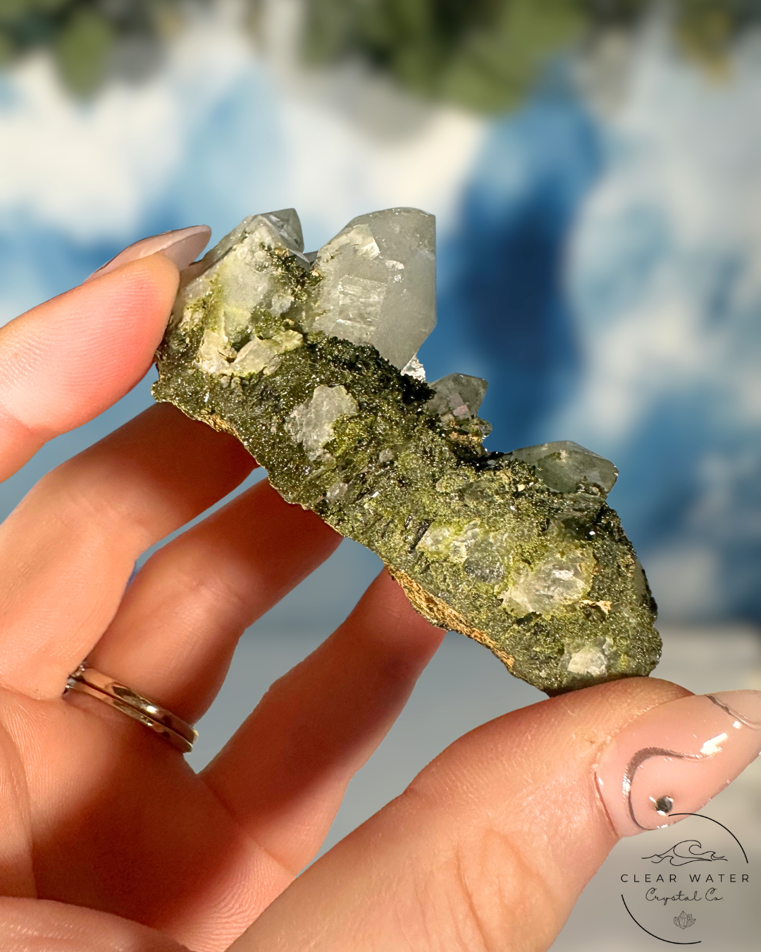 Forrest Quartz: Hakkari's Secret Garden