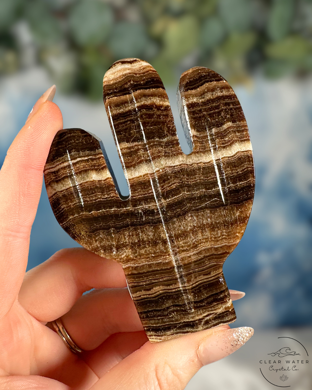 Mexican Chocolate Onyx Cactus Carving