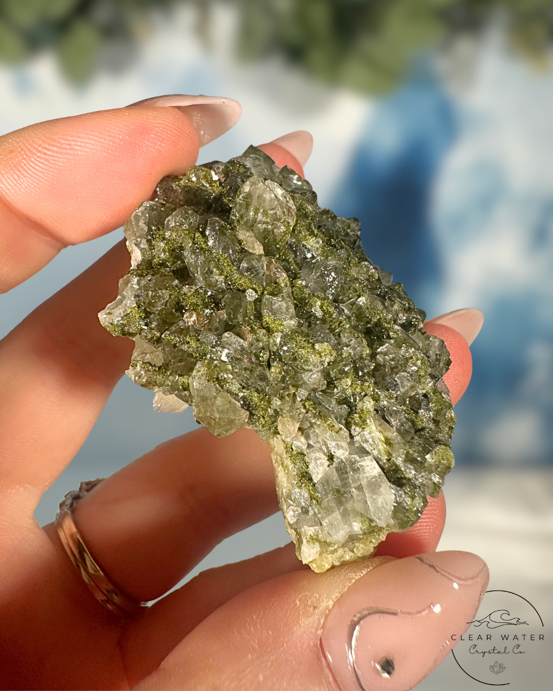 Forrest Quartz: Hakkari's Secret Garden