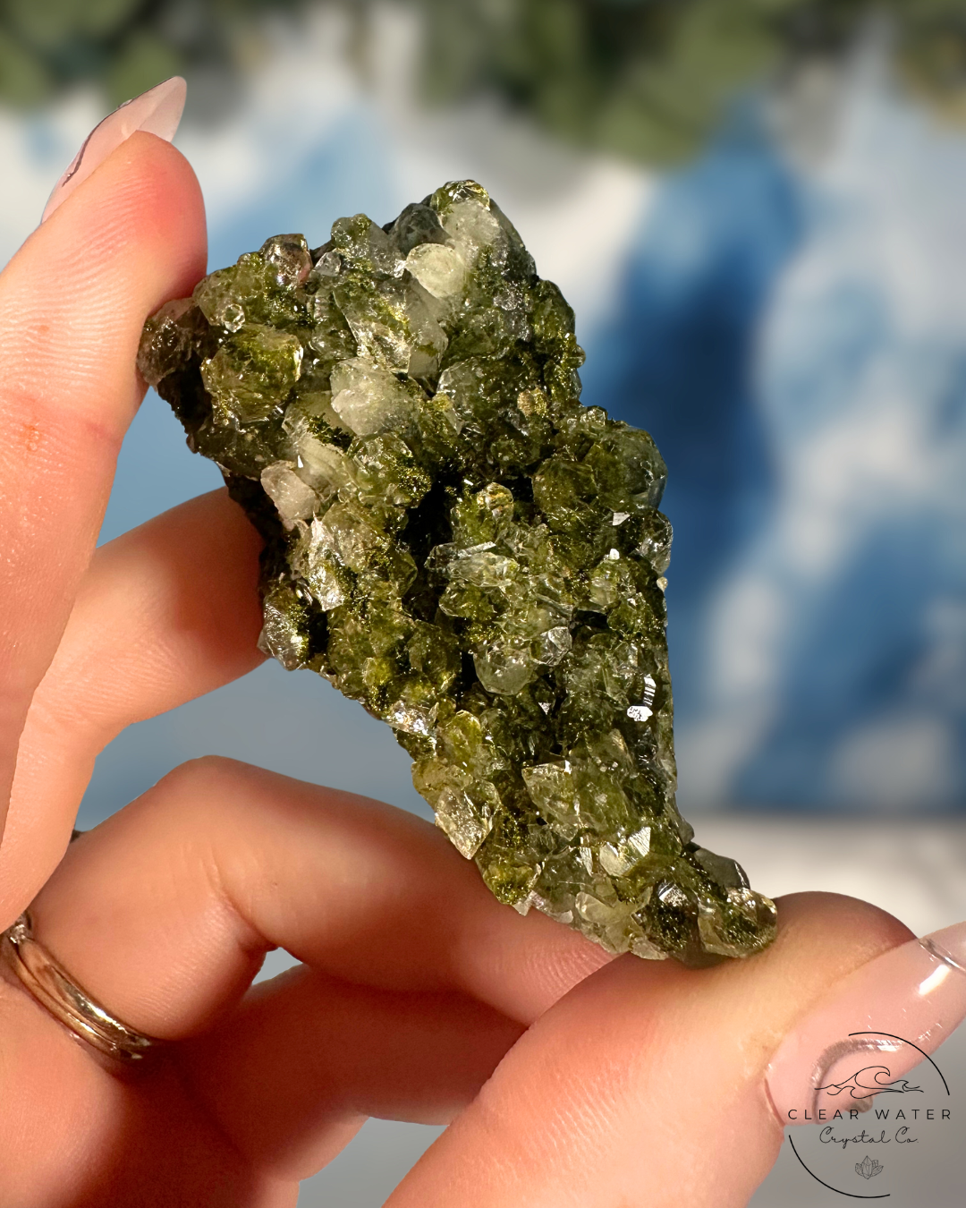 Forrest Quartz: Hakkari's Secret Garden