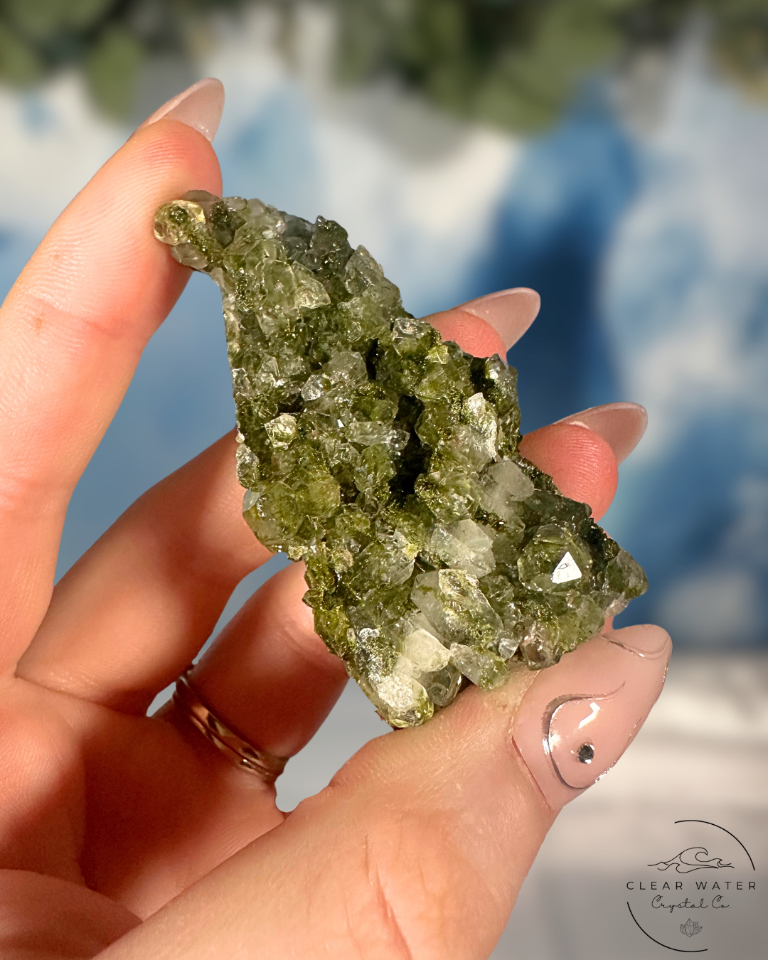 Forrest Quartz: Hakkari's Secret Garden