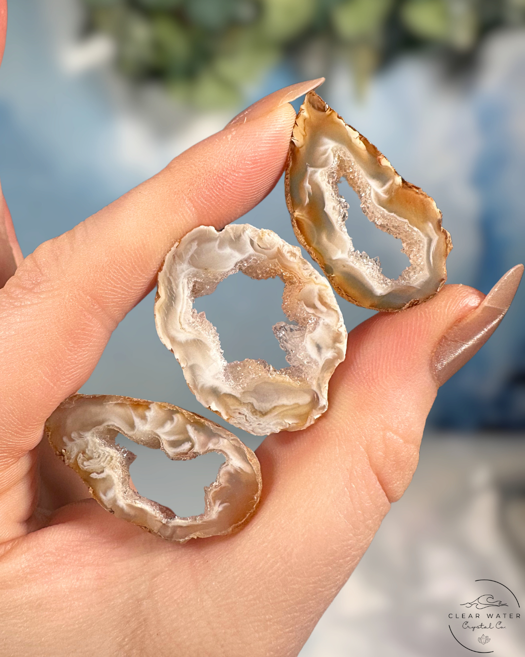 Oco Agate Geode Slice