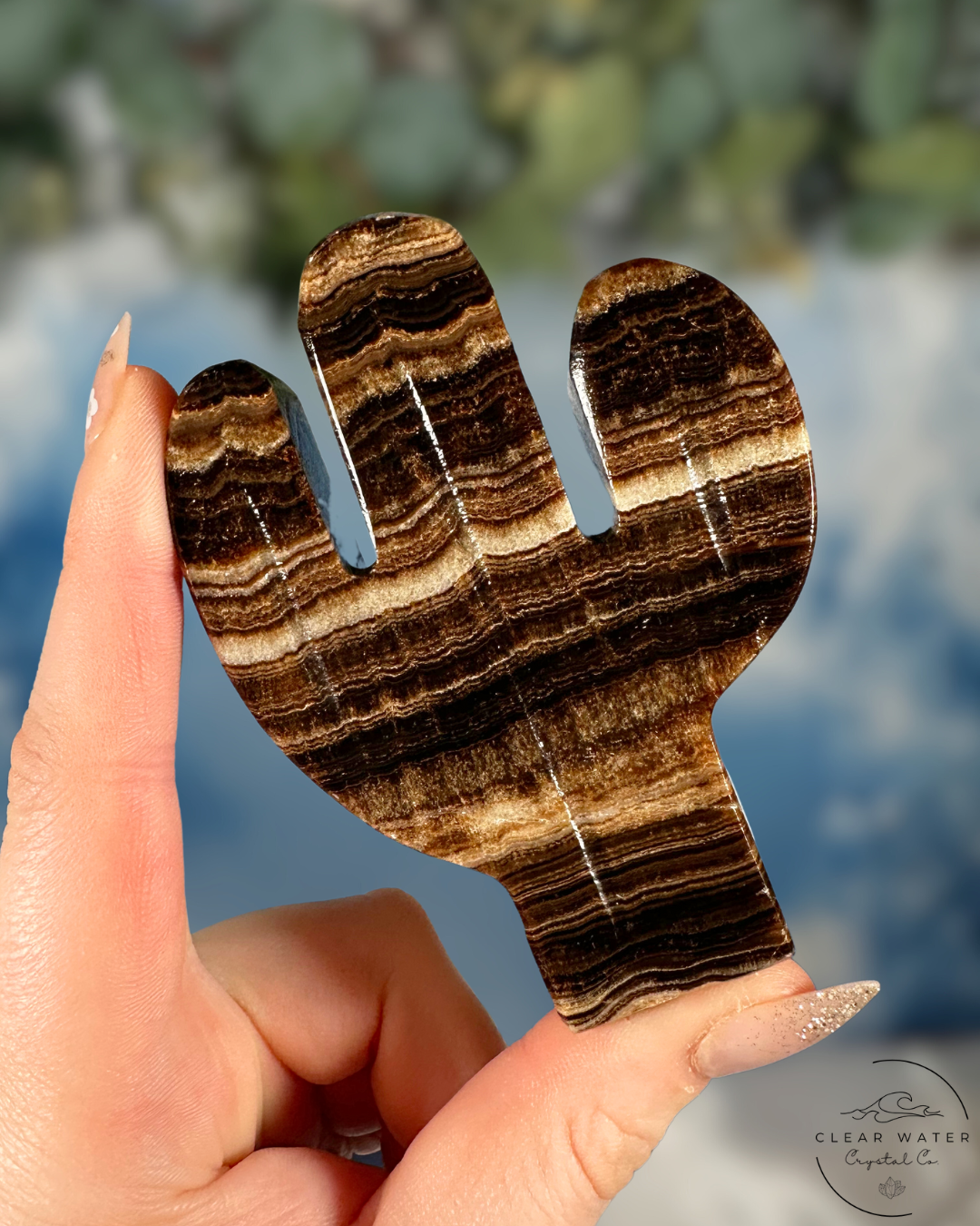 Mexican Chocolate Onyx Cactus Carving