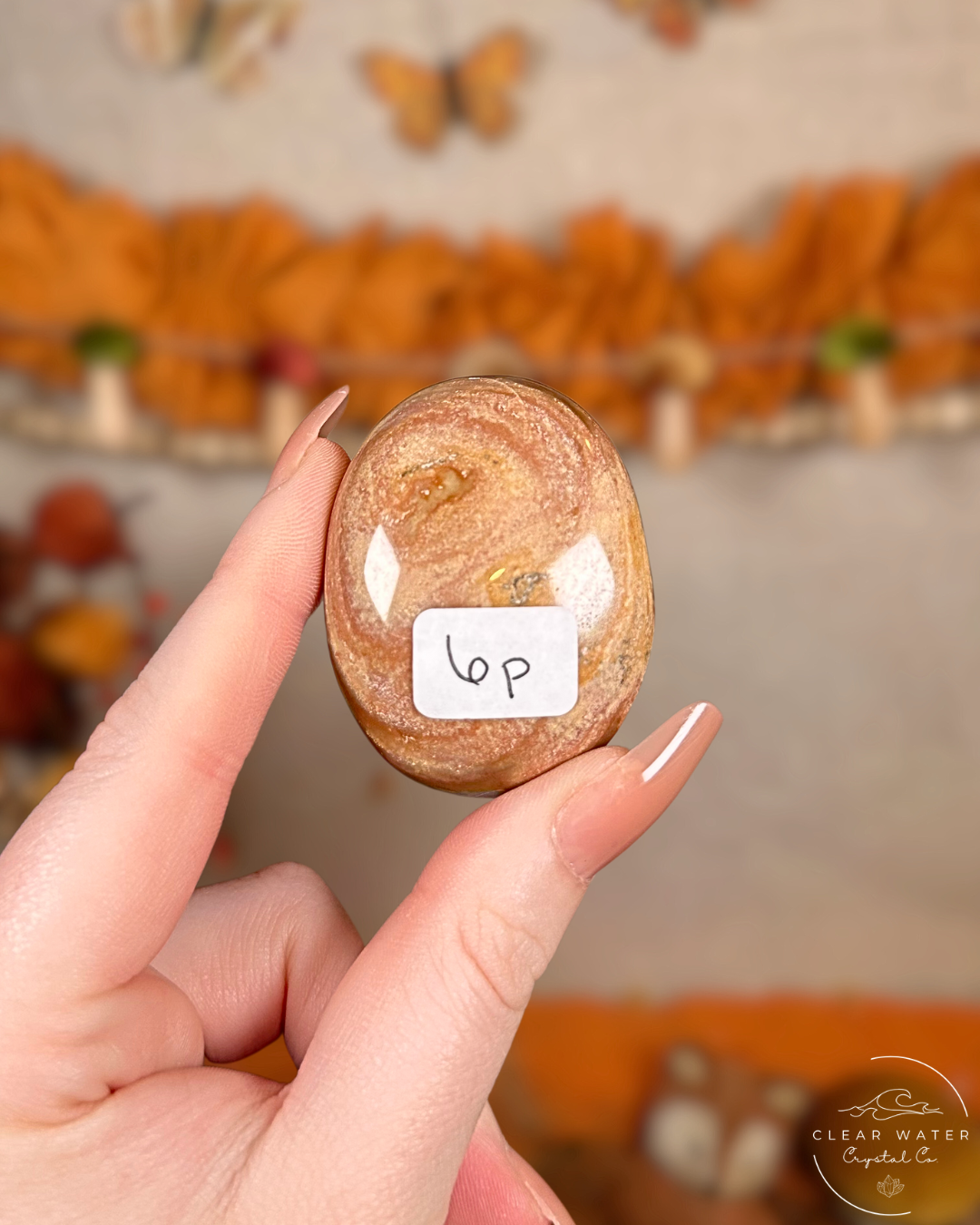 Polychrome Jasper Palmstone - Harvest Stone