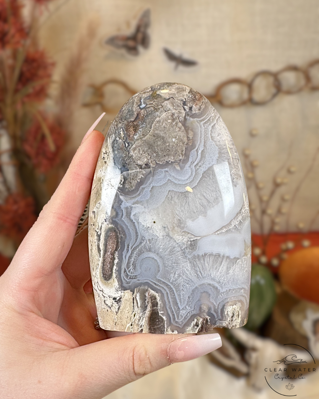 Petrified Wood with Agate Freeforms- Indonesia