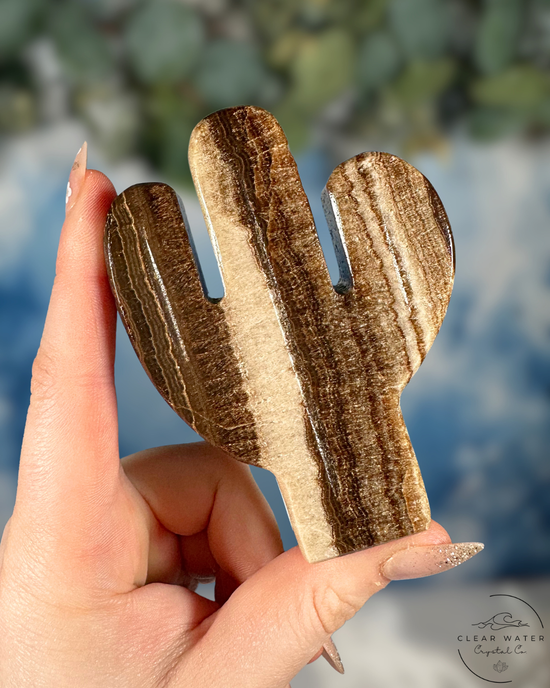 Mexican Chocolate Onyx Cactus Carving