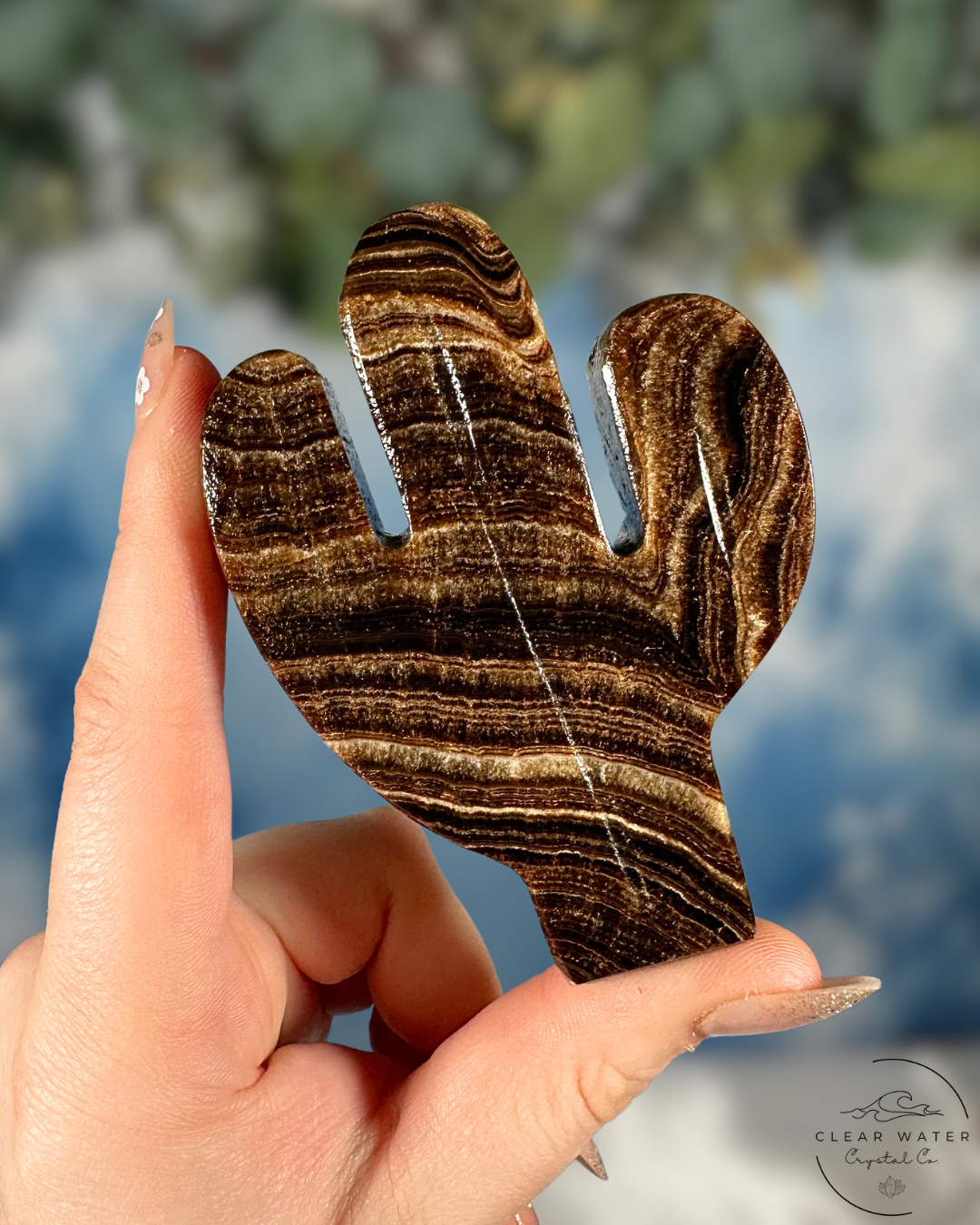 Mexican Chocolate Onyx Cactus Carving