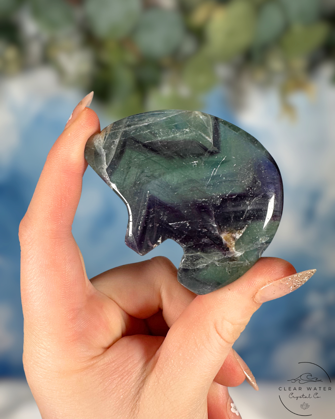 Mexican Fluorite Bear Carving