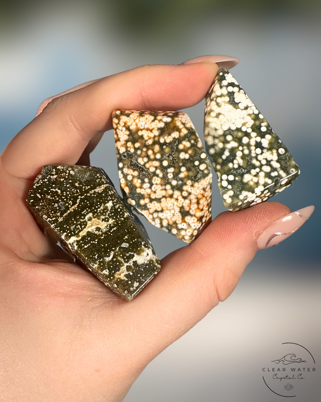 Orbicular Sea Jasper Freeforms