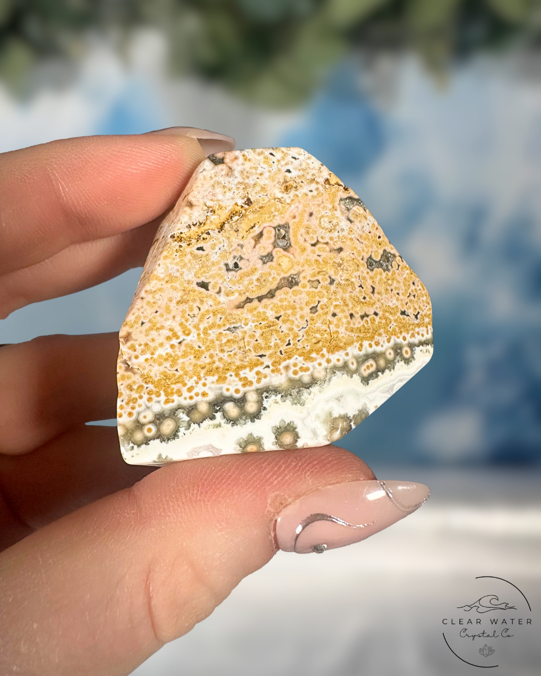 Orbicular Sea Jasper Freeforms