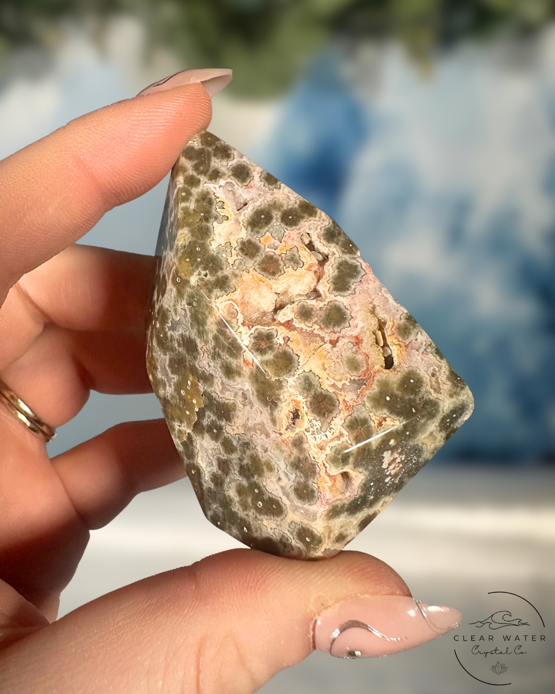Orbicular Sea Jasper Freeforms