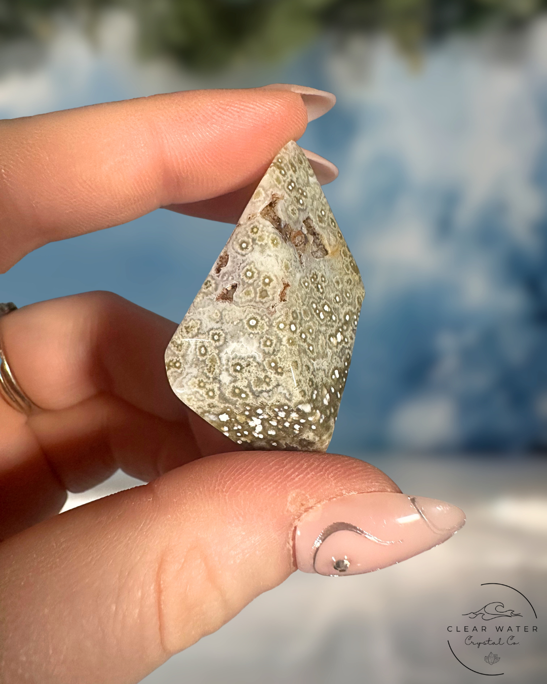 Orbicular Sea Jasper Freeforms