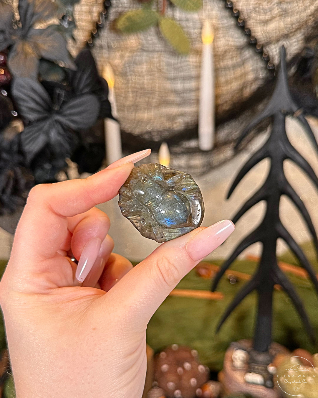 Labradorite Spider Carving