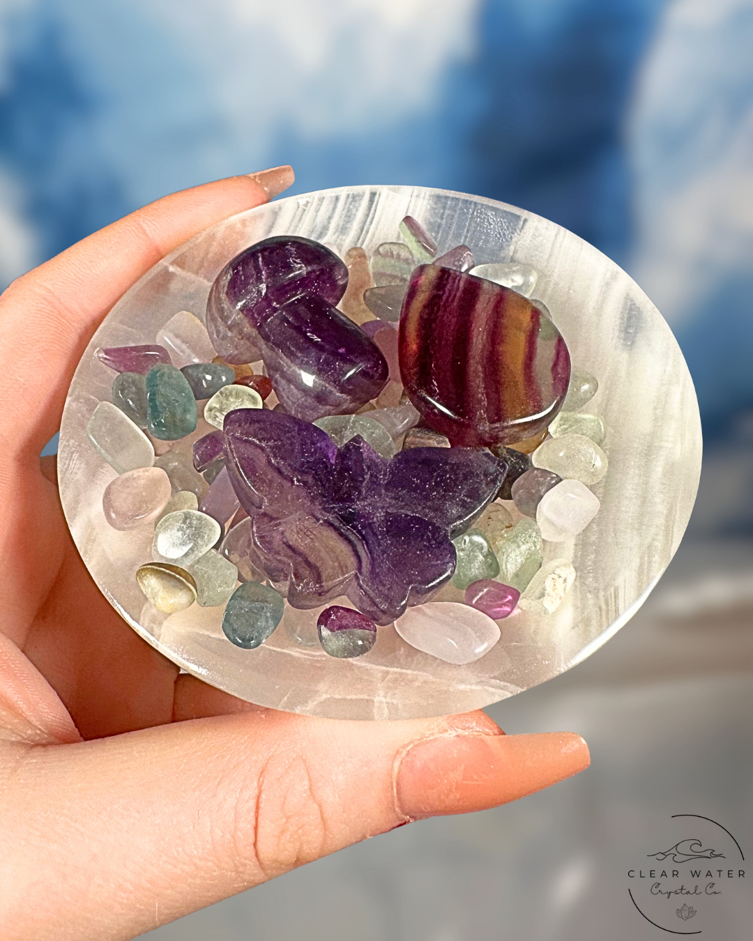 Fluorite and Fauna Bundle