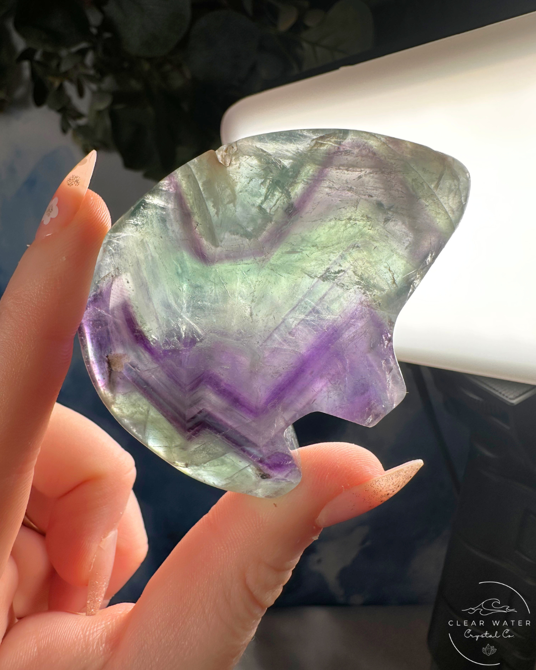 Mexican Fluorite Bear Carving