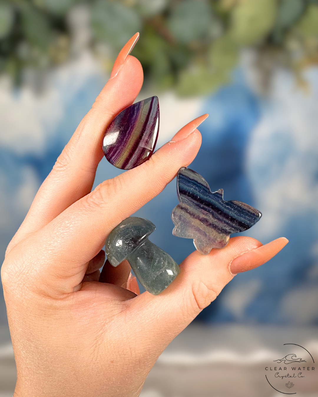 Fluorite and Fauna Bundle