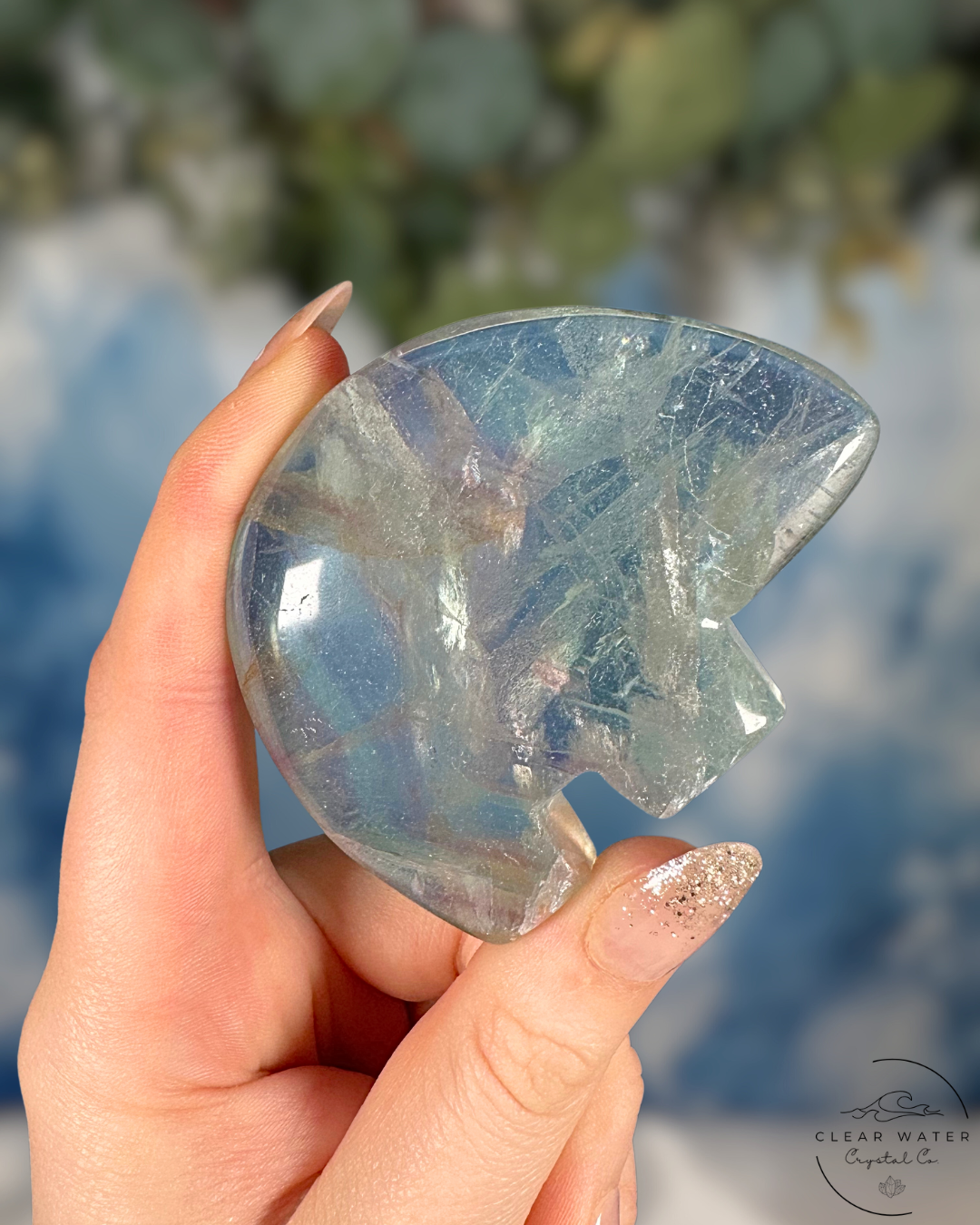 Mexican Fluorite Bear Carving