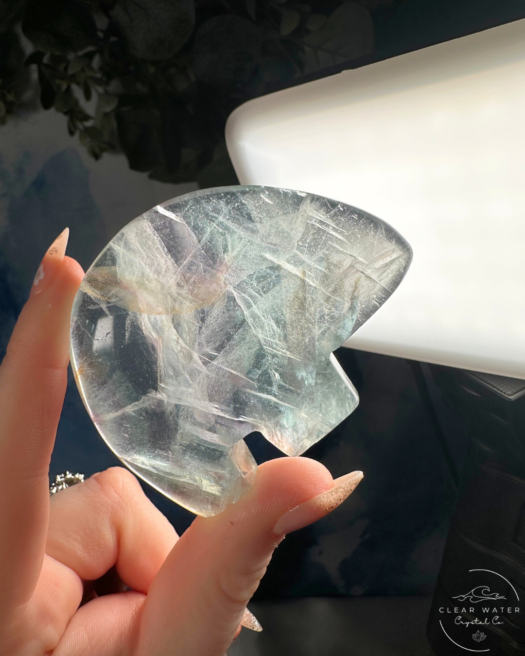 Mexican Fluorite Bear Carving