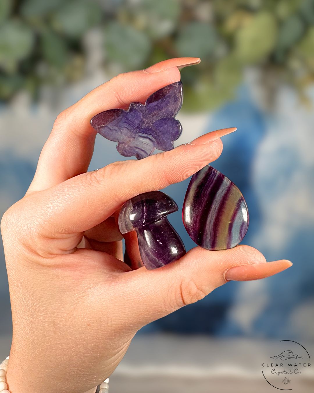 Fluorite and Fauna Bundle