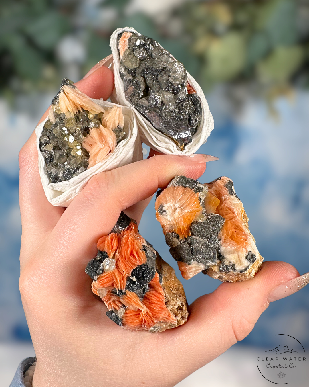 *Rare* Cerusite and Baritine Specimens from Morocco