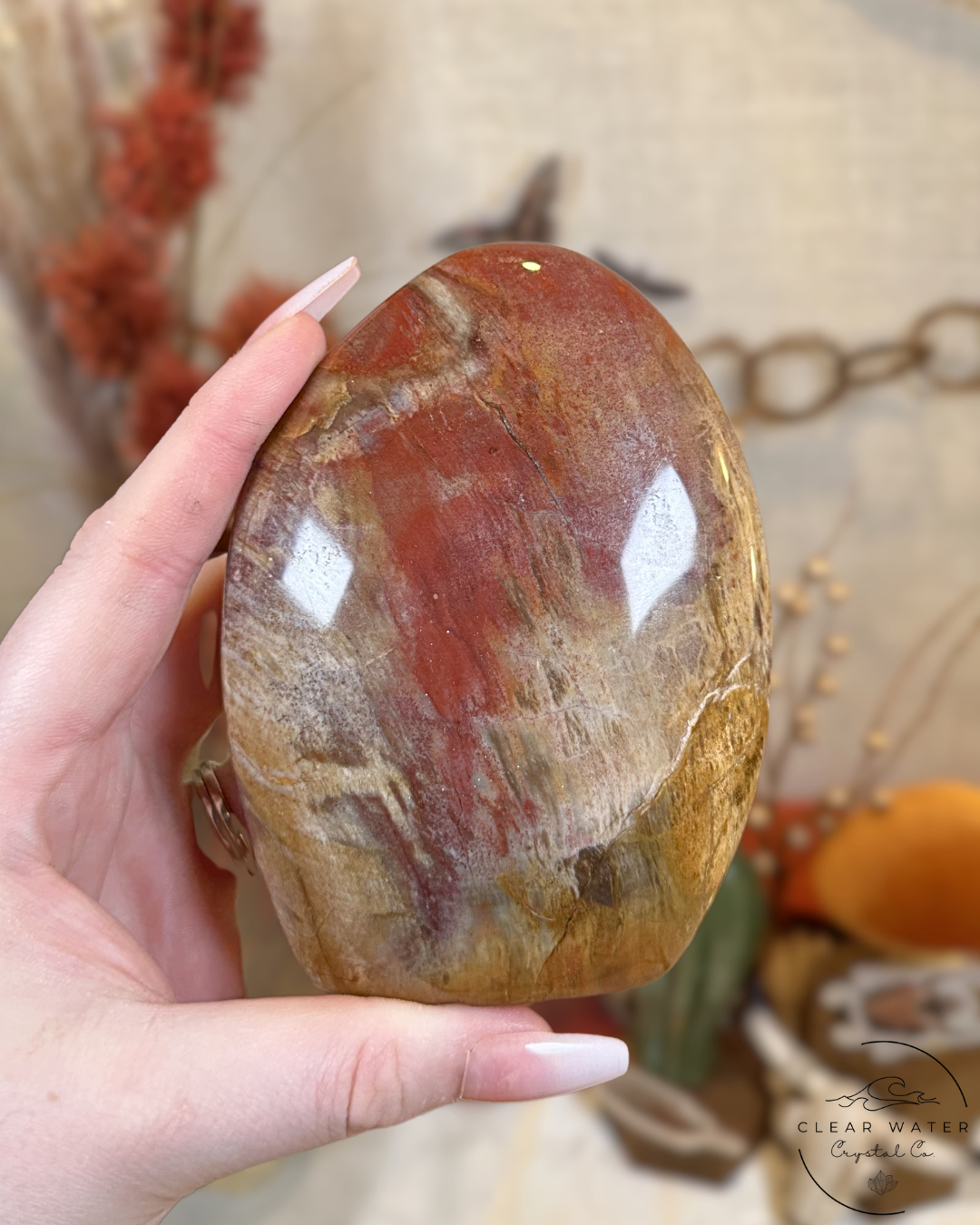 Red Petrified Wood Freeform- Madagascar