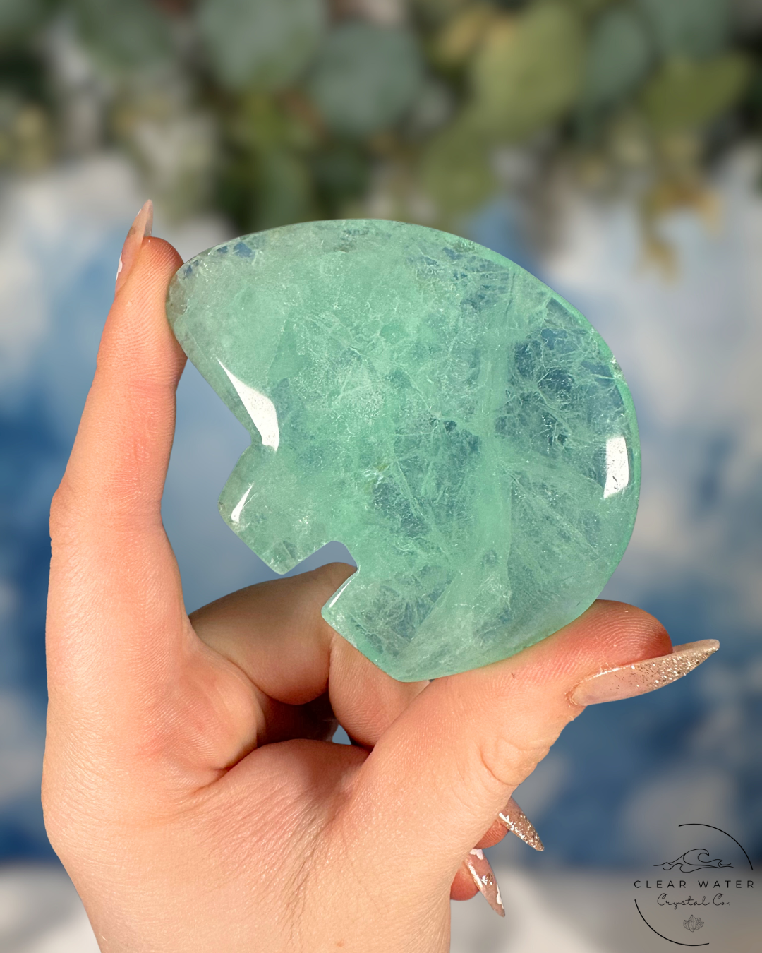 Mexican Fluorite Bear Carving