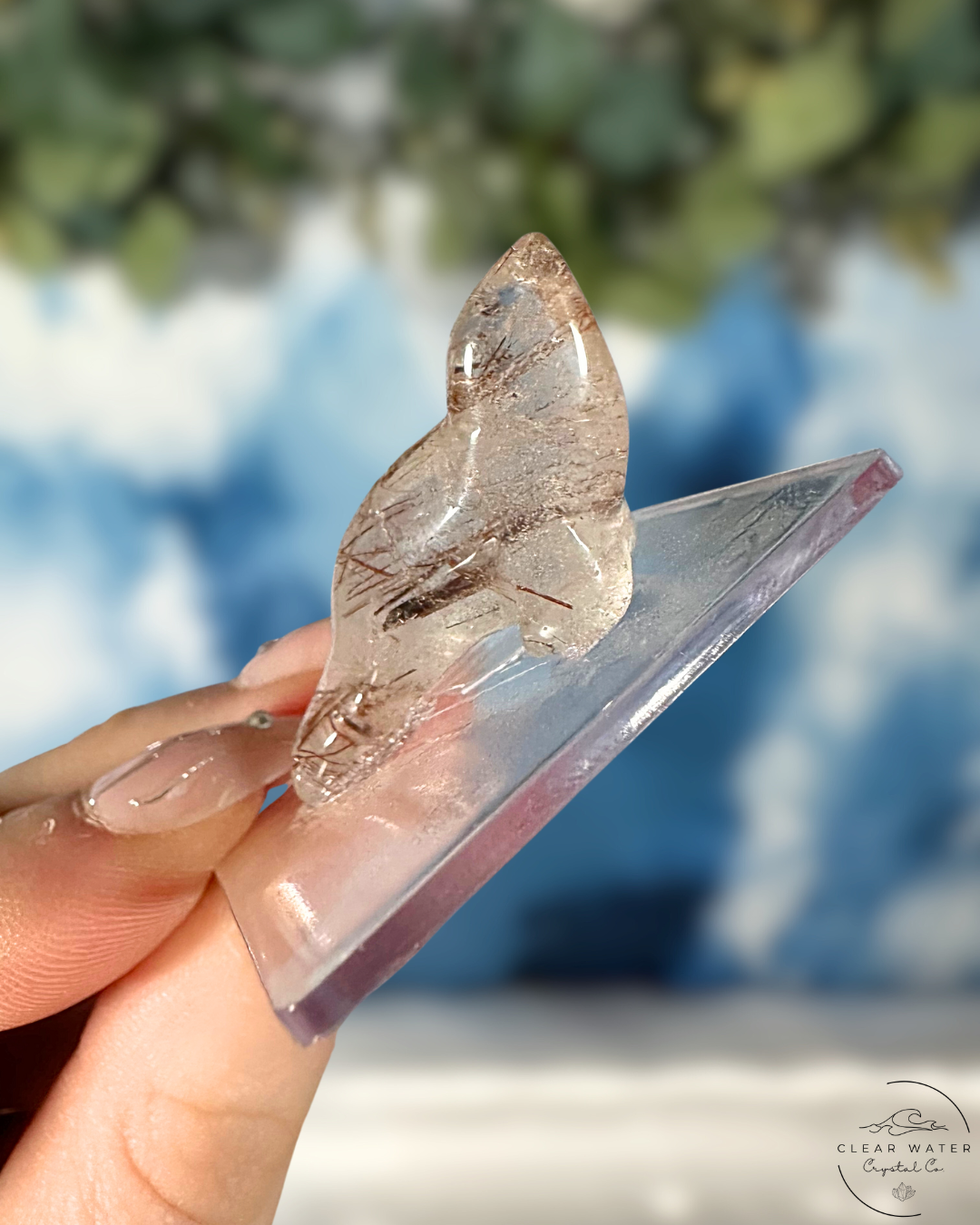 *Rare* Red Rutile in Clear Quartz Animal Carvings