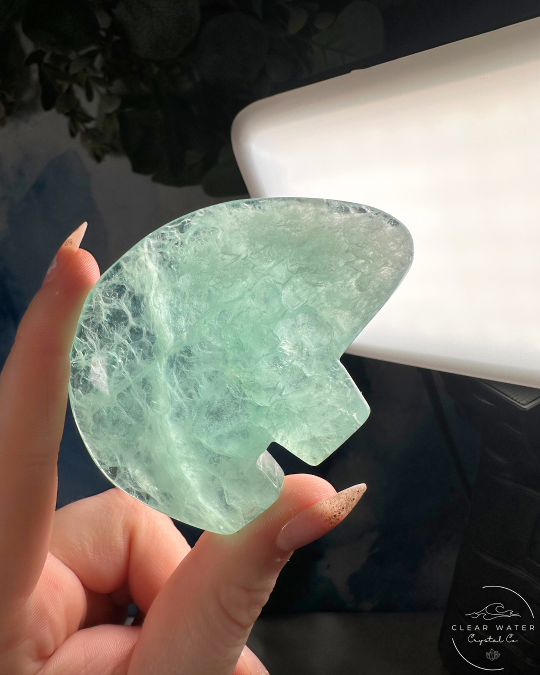 Mexican Fluorite Bear Carving