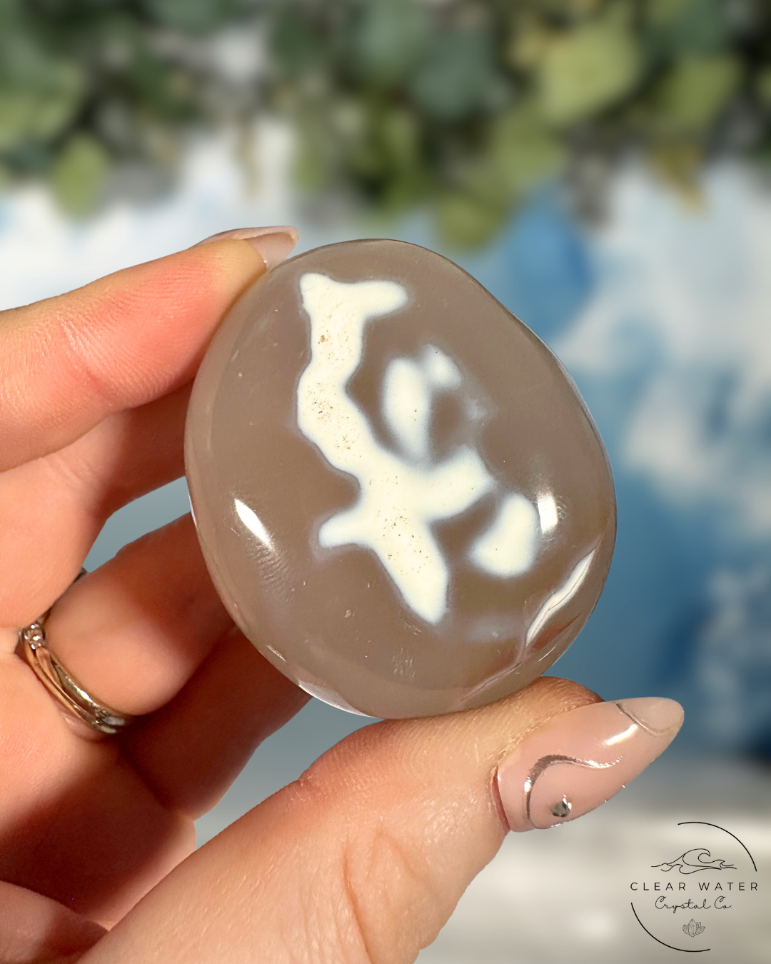 Orca Agate Palmstones