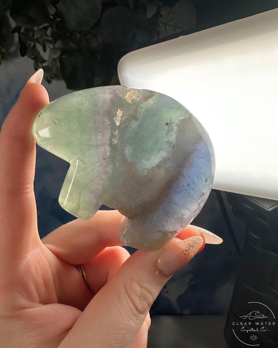 Mexican Fluorite Bear Carving