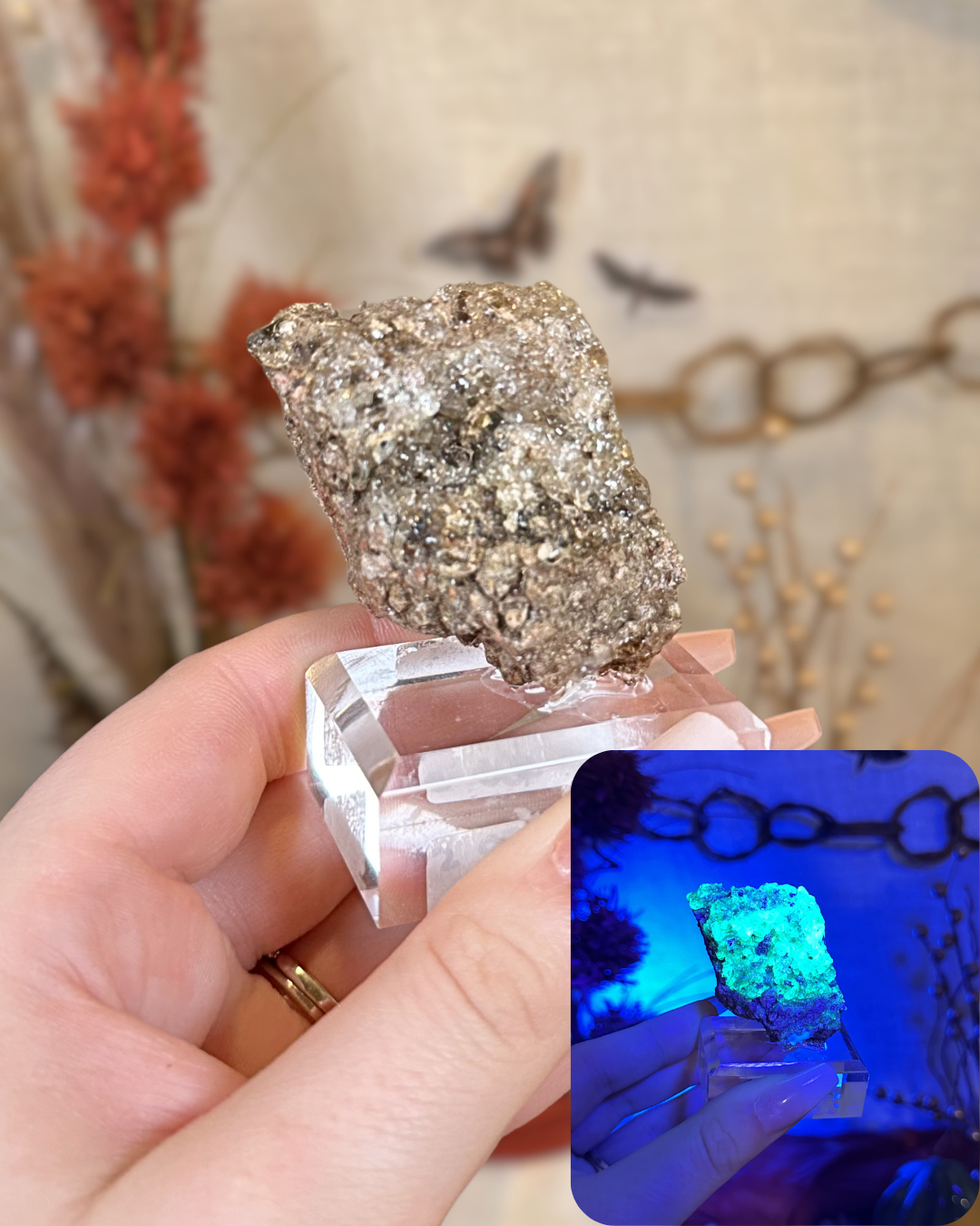 Hyalite Opal Specimen- Mexico (UV Reactive)