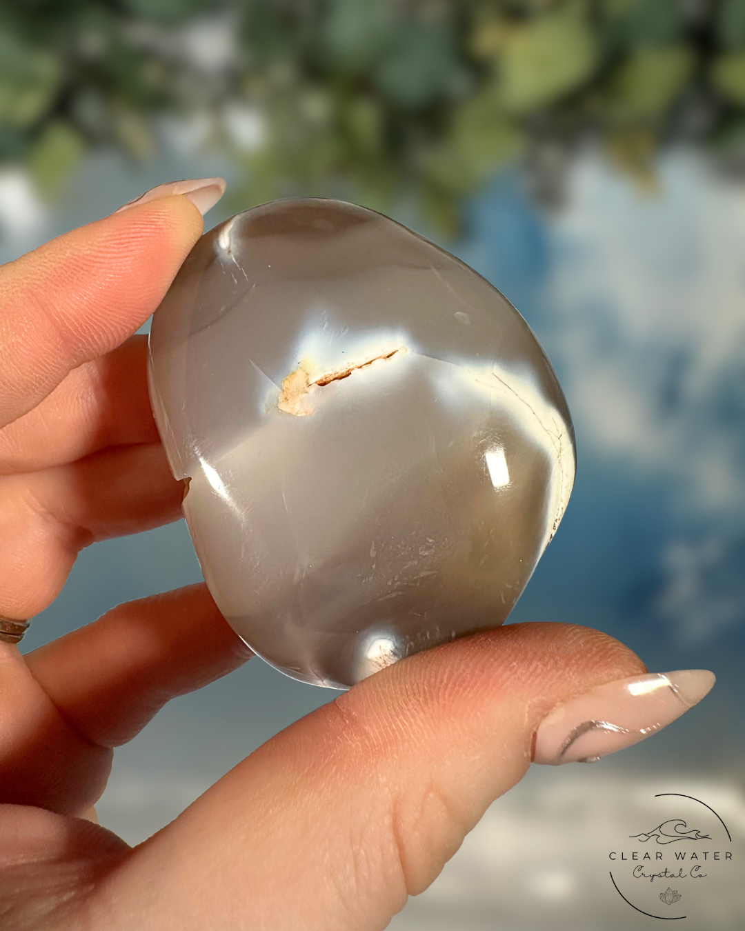 Orca Agate Palmstones