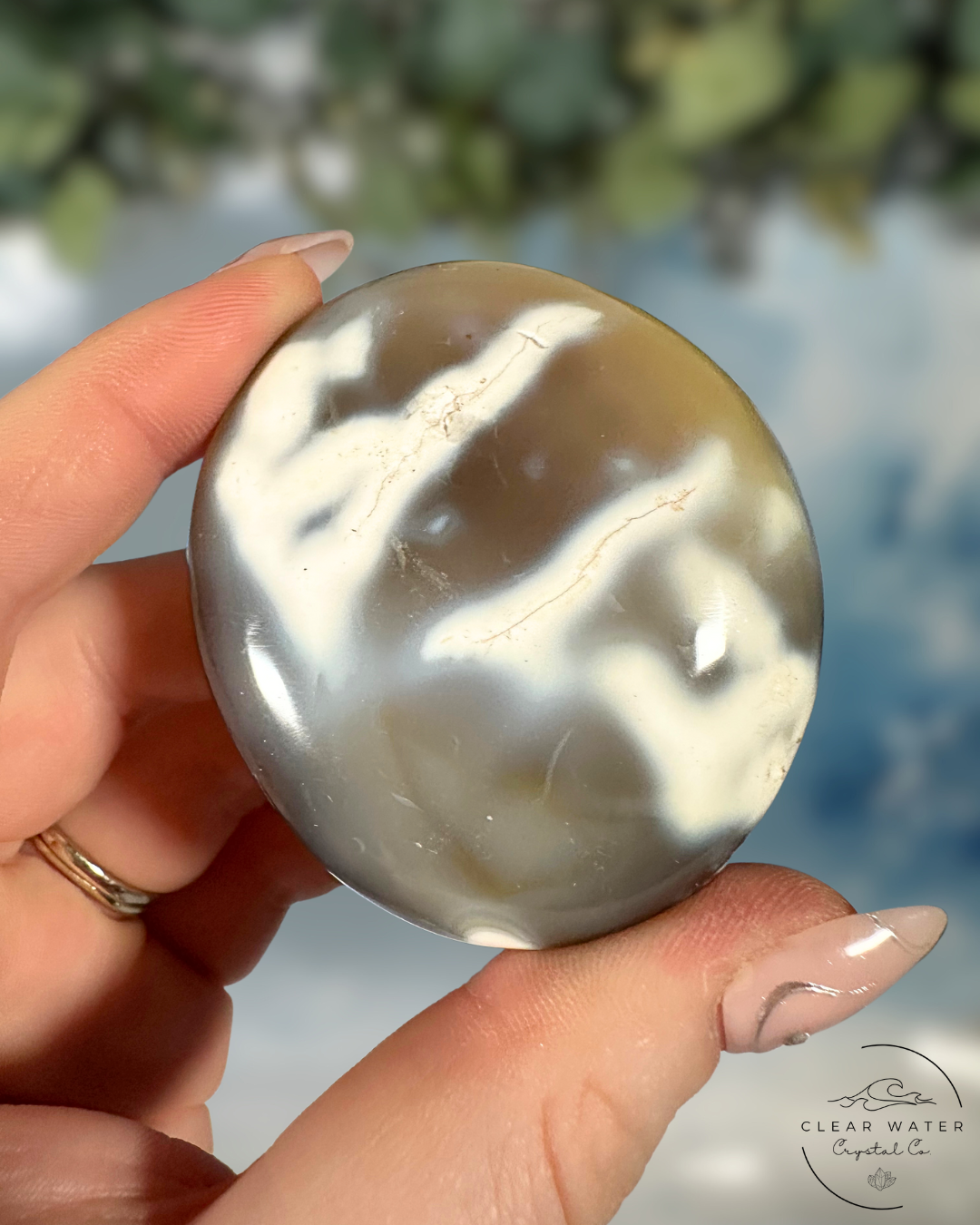 Orca Agate Palmstones