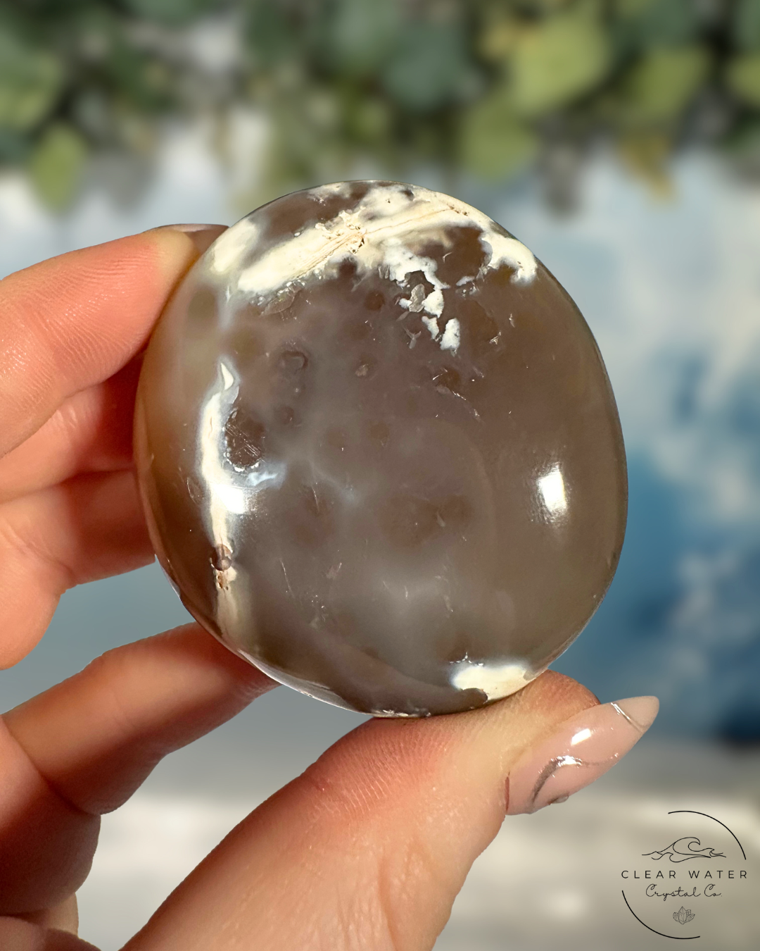 Orca Agate Palmstones