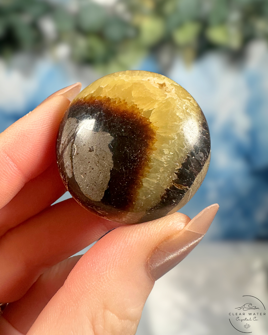 Septarian Palmstone: Dragon's Egg