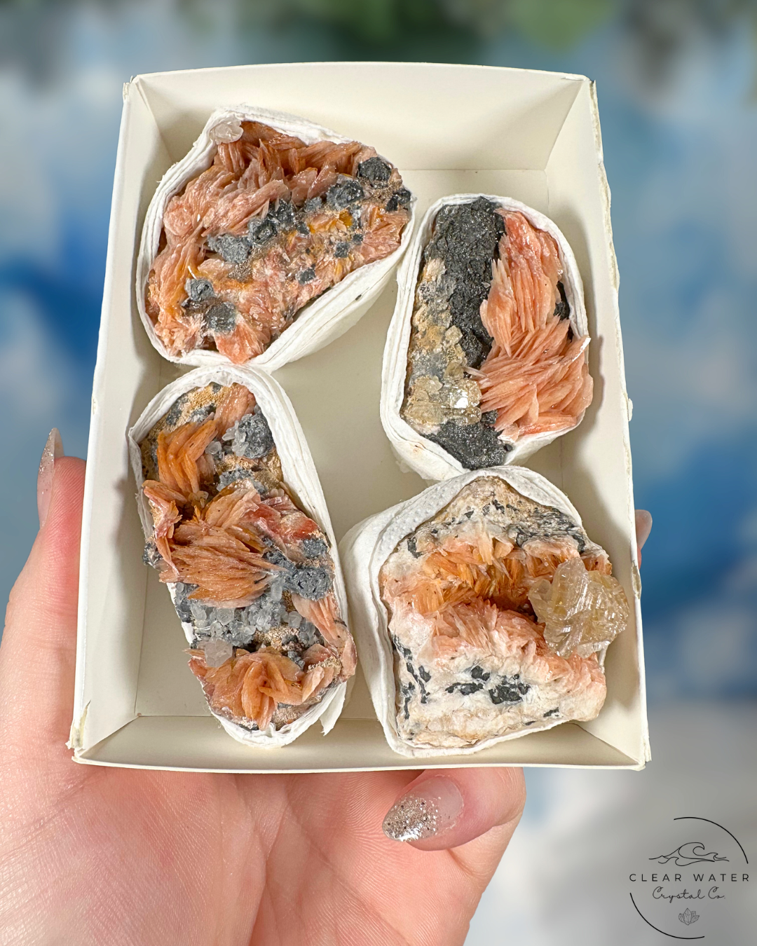 *Rare* Cerusite and Baritine Specimens from Morocco