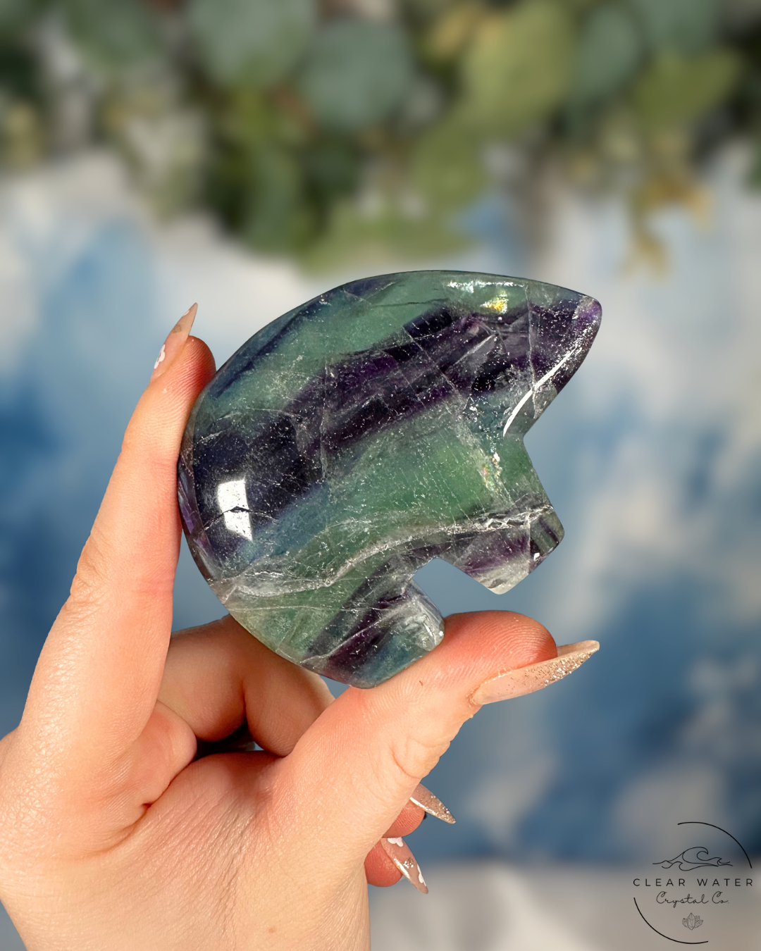 Mexican Fluorite Bear Carving