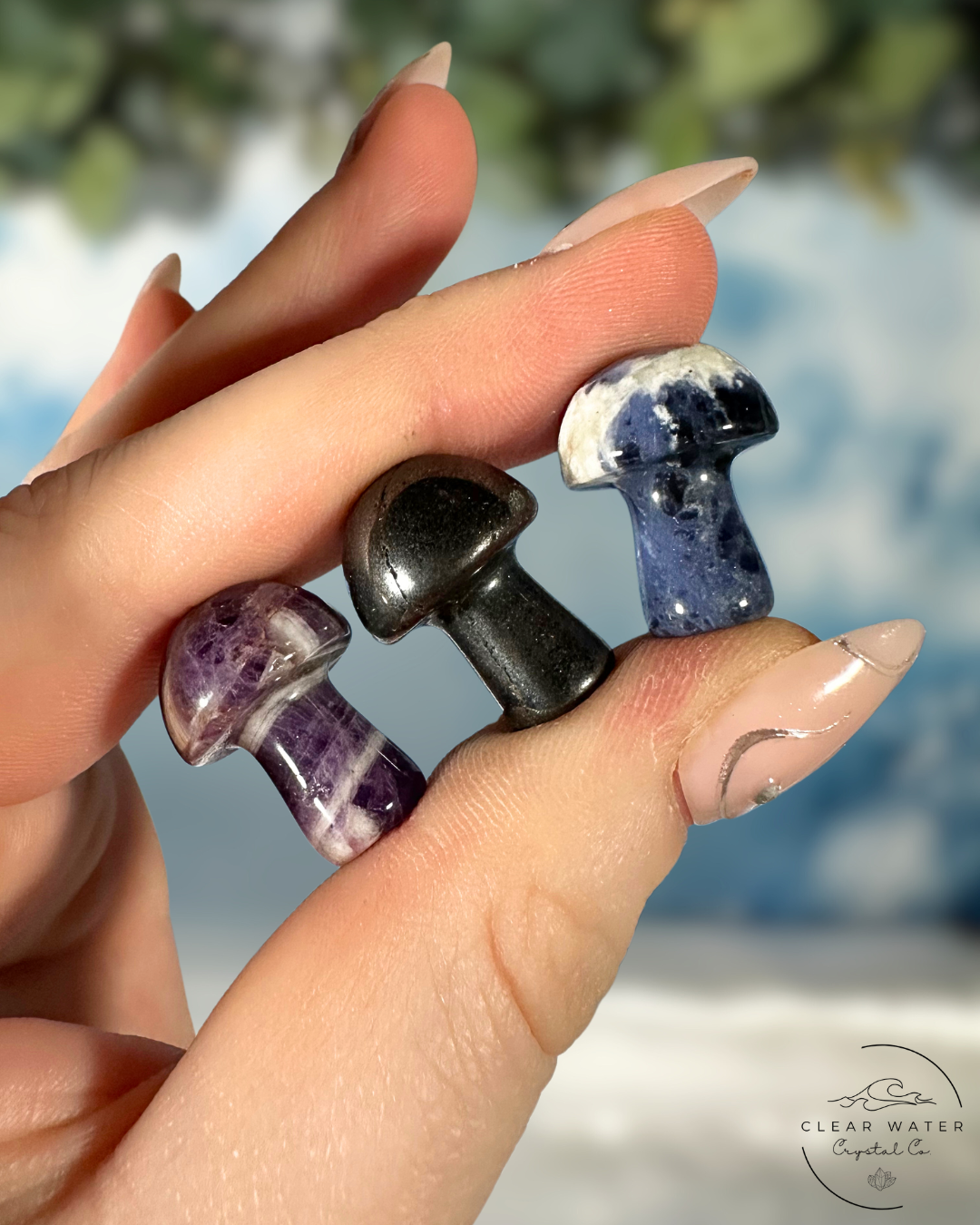 Mini Mystery Mushroom Pack: Enchanted Forest Trio
